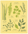 Swedish Dish Cloth - Fines Herbes